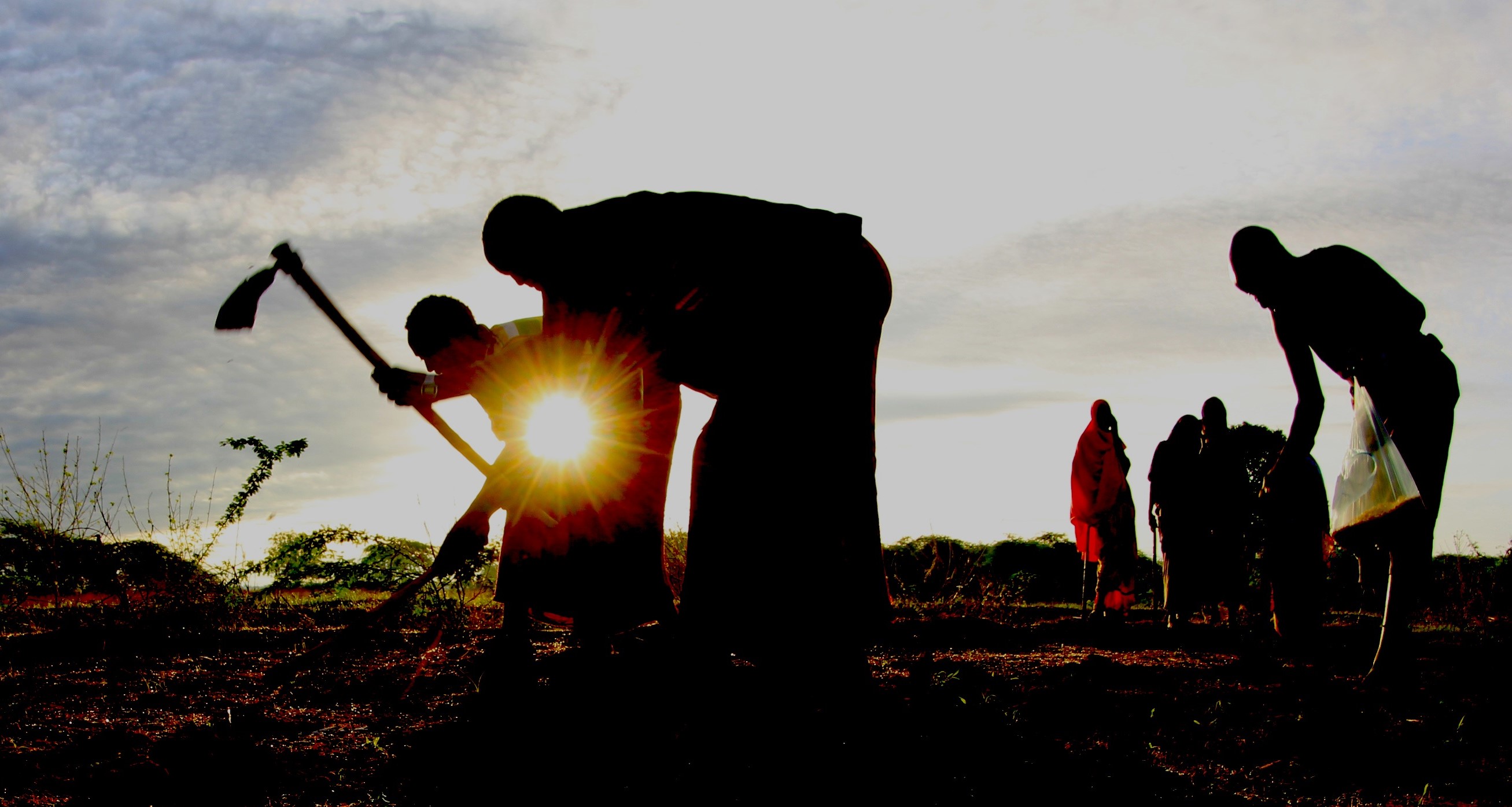 Somali farmers tending to the fields