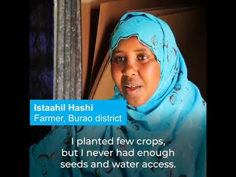 Istahil’s kitchen garden & her “small business empire” FAO & WFP Resilience Initiative in Somaliland