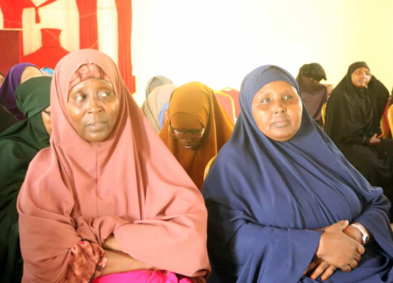 Hirshabelle local government holds consultation on women's quota for ...