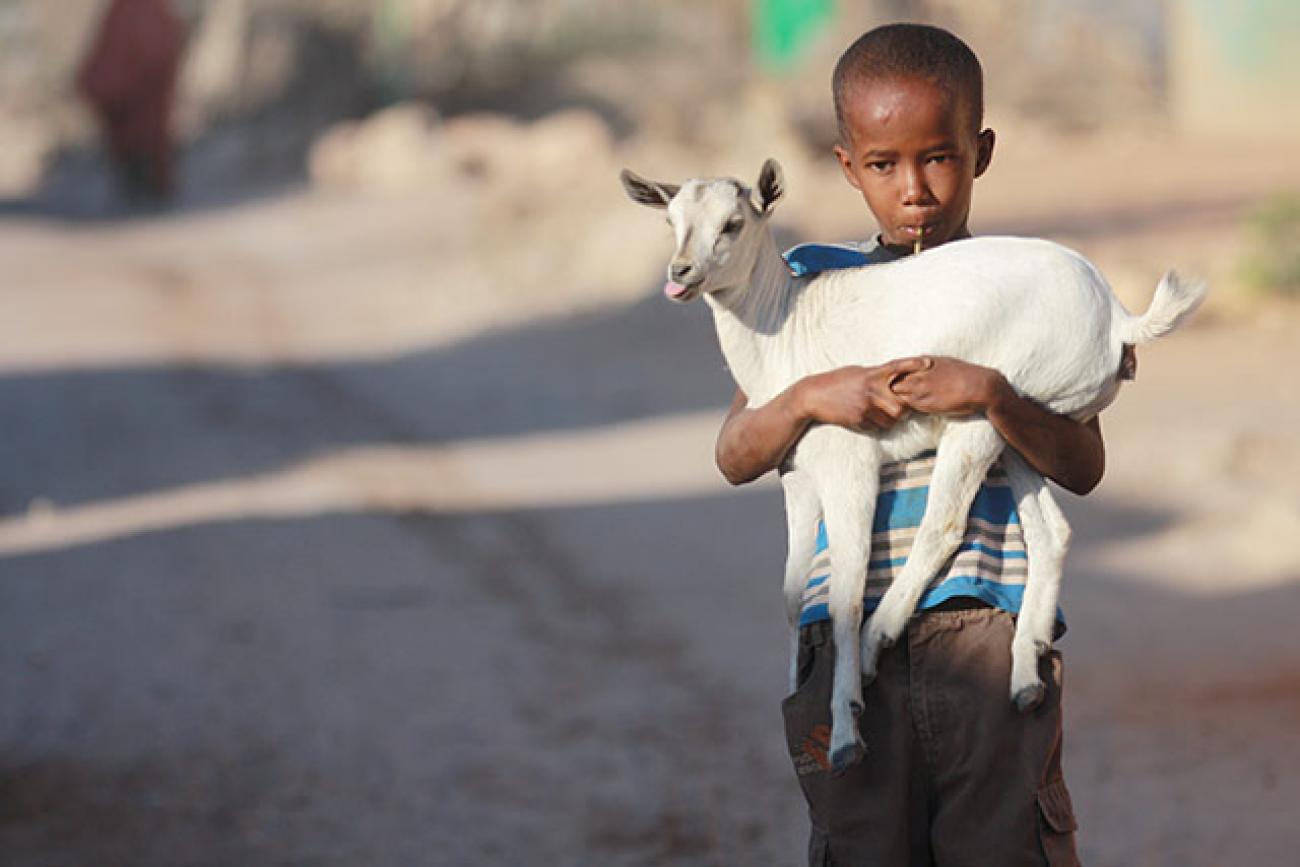 Over one million people in Somalia face acute food insecurity as food crisis worsens