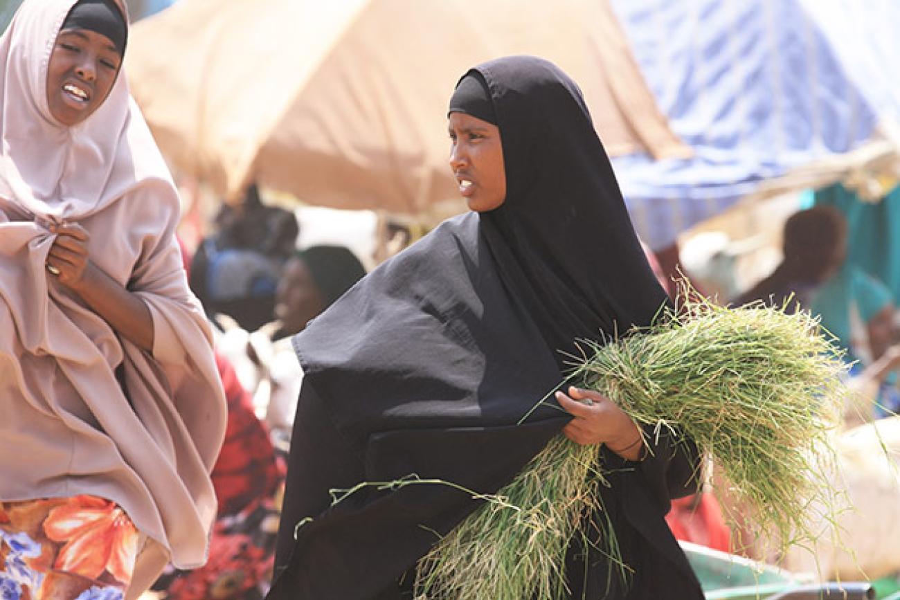 Over 730,000 people across Somalia face acute food insecurity despite improvements in some areas