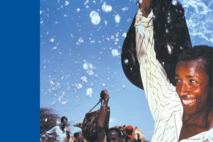 Somalia Human Development Report Human Rights and Governance Somalia