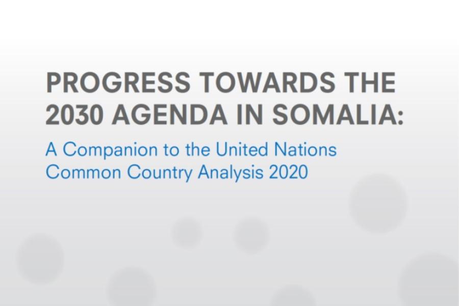 PROGRESS TOWARDS THE 2030 AGENDA IN SOMALIA: A Companion To The UN ...