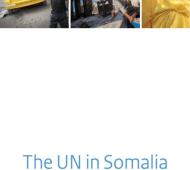 UN in Somalia Yearbook 2014