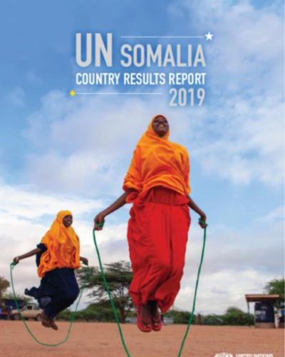 2019 UN Results Report Cover