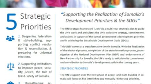 UNSF factsheet