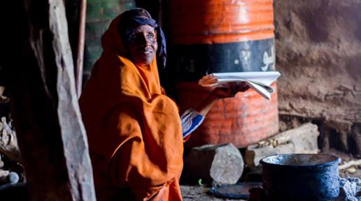 Despite improvements, Somalia’s food security vulnerable to desert locust outbreak