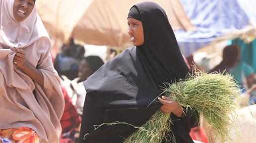Over 730,000 people across Somalia face acute food insecurity despite improvements in some areas