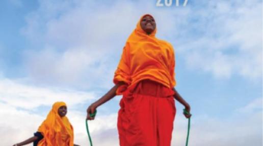 2019 UN Results Report Cover